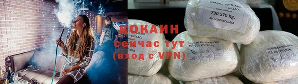 ешки Аркадак