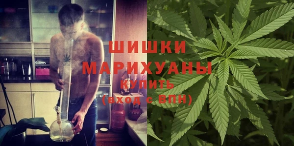 ешки Аркадак