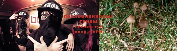 круглые Арсеньев