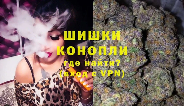 ешки Аркадак