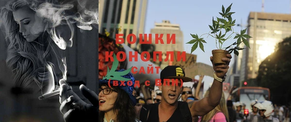 ешки Аркадак