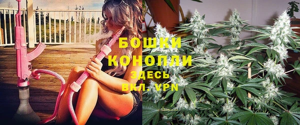 ешки Аркадак