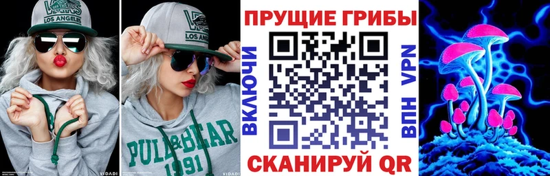 продажа наркотиков  Лукоянов  Галлюциногенные грибы Psilocybe 